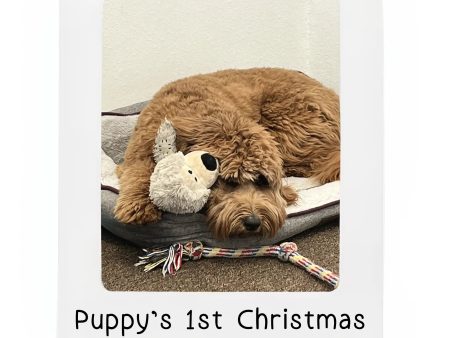 Puppy Dog Picture Frame Personalized Ornament Supply