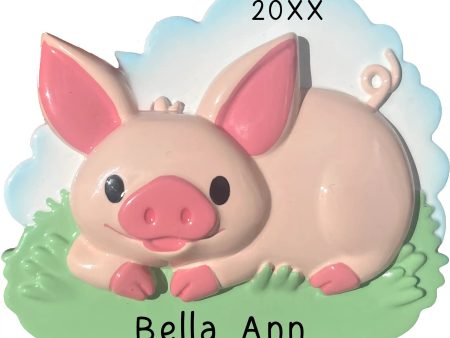 Cute Pig Personalized Ornament For Cheap